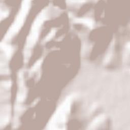 Fuchū-shi Terrain Map