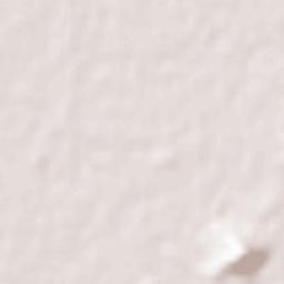 Kashihara-shi Terrain Map