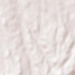 Izumi Shi Terrain Map