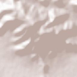 Barreh Farakh Terrain Map