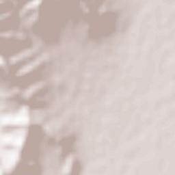 Deh-e Shaker Terrain Map