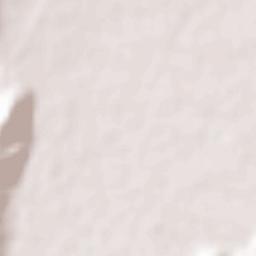 Minamiawaji Shi Terrain Map