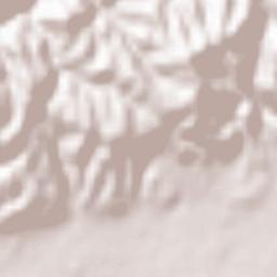 Iwade Shi Terrain Map