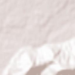 Kinokawa Shi Terrain Map