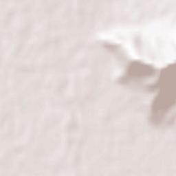 Gandarbal Terrain Map