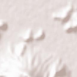 Zentsūji Shi Terrain Map