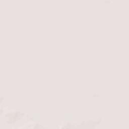 Portales Terrain Map