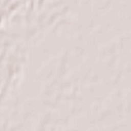 Boshruyeh Terrain Map