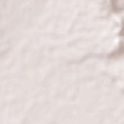 Mitoyo Shi Terrain Map