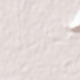 Srinagar Terrain Map