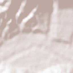 Wakimachi Terrain Map