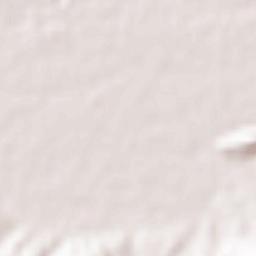 Kamojimachō-jōgejima Terrain Map