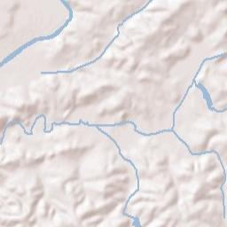 Suwanee Terrain Map