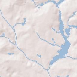 Forest Acres Terrain Map