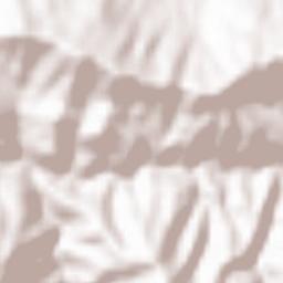 Yoshinogawa Shi Terrain Map