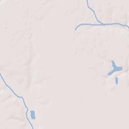 Pamplico Terrain Map