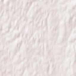 Pittsboro Terrain Map