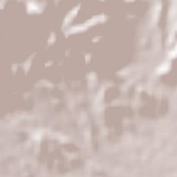 Mahallat Terrain Map