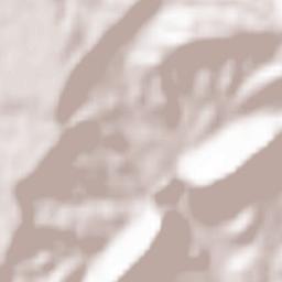 Ma‘lūlā Terrain Map