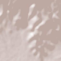 Şaydnāyā Terrain Map