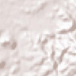 Koga-shi Terrain Map