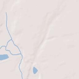 Kingstree Terrain Map
