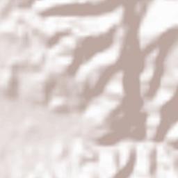 Sasaguri Terrain Map