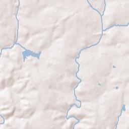 Covington Terrain Map