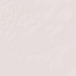 Citrus Park Terrain Map