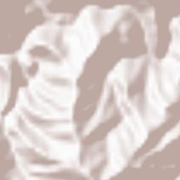 Niyodogawa Terrain Map