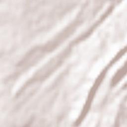 Nazir Town Terrain Map