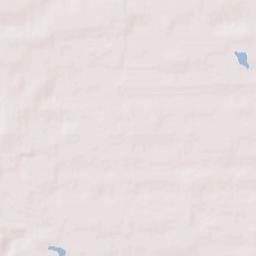 Bamberg County Terrain Map