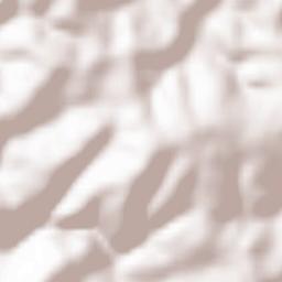 Caza de Bent Jbaïl Terrain Map