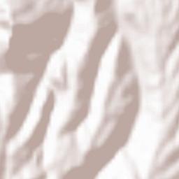 Kashima Shi Terrain Map