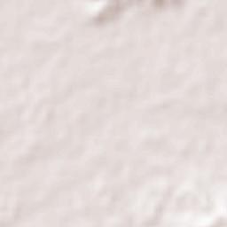 Ōmuta Shi Terrain Map