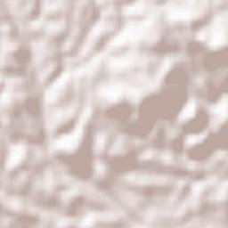 Taketa-shi Terrain Map