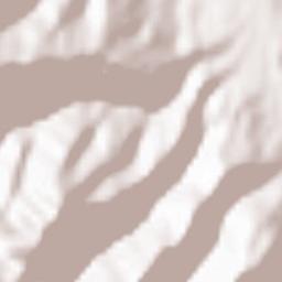 Bhadarwah Terrain Map