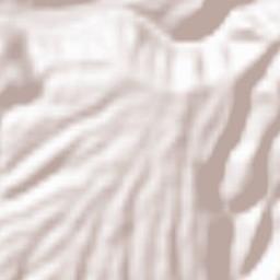 Ōmura-shi Terrain Map