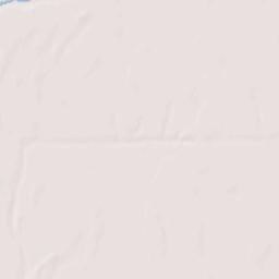 West Carroll Parish Terrain Map