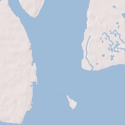 Charleston Terrain Map