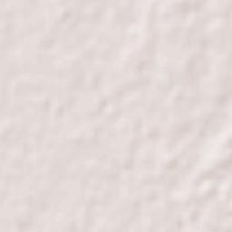 Qila Didar Singh Terrain Map