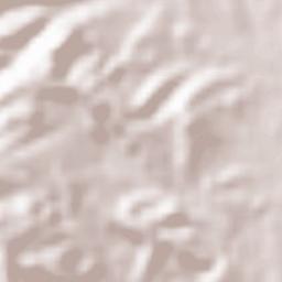 Murmuri  Terrain Map