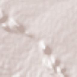 Rezvanshahr Terrain Map