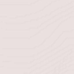 Ejido Netzahualcóyotl Terrain Map