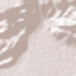 Dandot RS Terrain Map