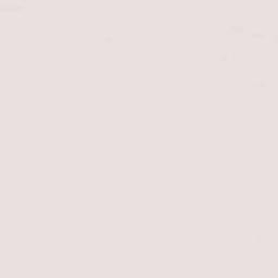 Ejido Lázaro Cárdenas Terrain Map