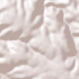 Kafr Asad Terrain Map