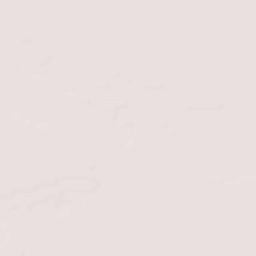 Progreso Terrain Map