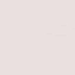 Ejido Tabasco Terrain Map