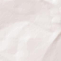 Cereso del Hongo Terrain Map